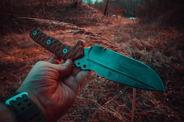 Choosing a Bushcraft Survival Knife: What You Need to Know Before You Buy