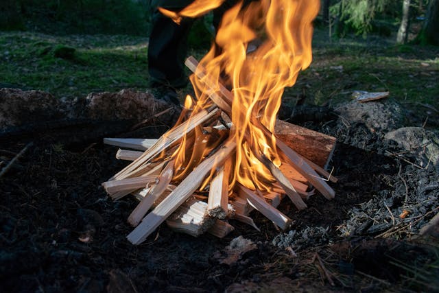 Bushcraft Fire Starters: Gear That Gets Your Fire Going Every Time