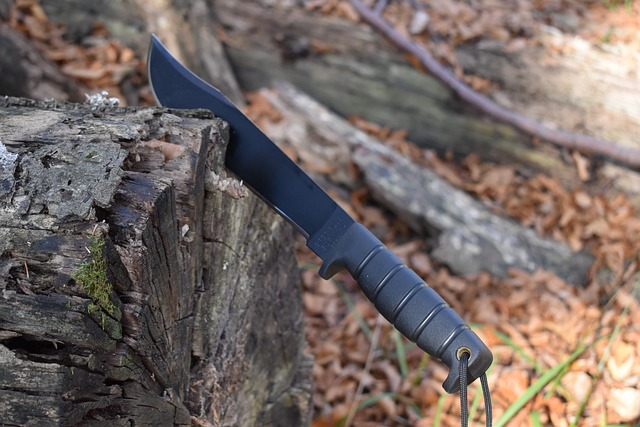 Dutch Bushcraft Knives: What Makes Them Stand Out and Are They Worth It?